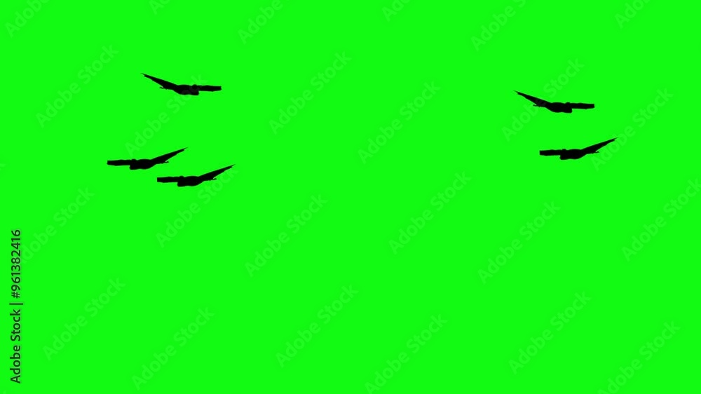 Flitter-mouse Silhouette fly on green screen animation, Halloween element Flitter-mouse Silhouette fly on green screen animation, Halloween element