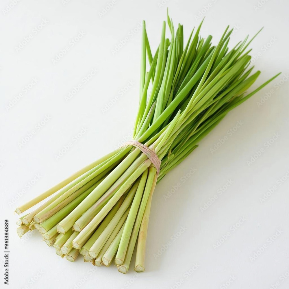 Fototapeta premium Fresh Lemongrass stalks tied together with a rubber band on a white background.