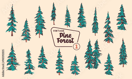 Pine Tree Vector Illustration Set - Hand-Drawn Vintage Mid-Century Style Designs.