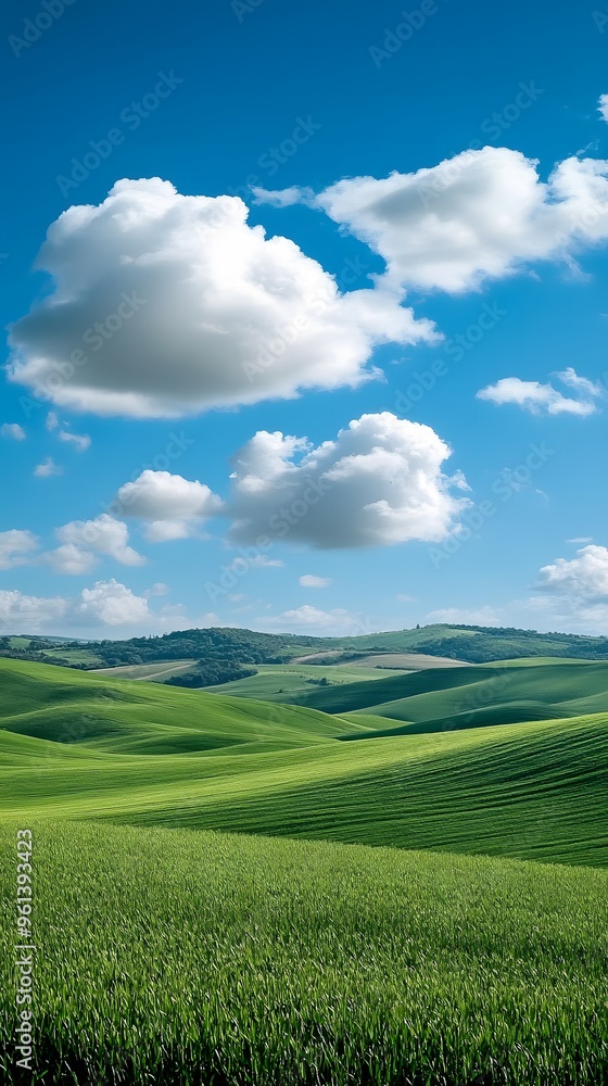 Fototapeta premium Green hills and fluffy clouds under a bright blue sky