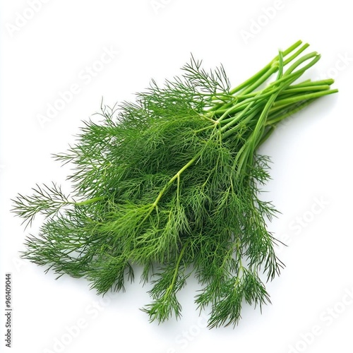 A bunch of fresh dill sprigs on a white background.