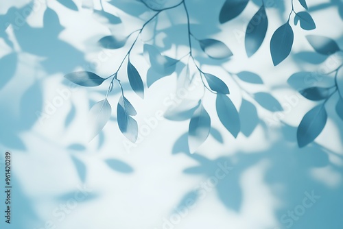 Leaves on blue sky background with copy space. Nature background.