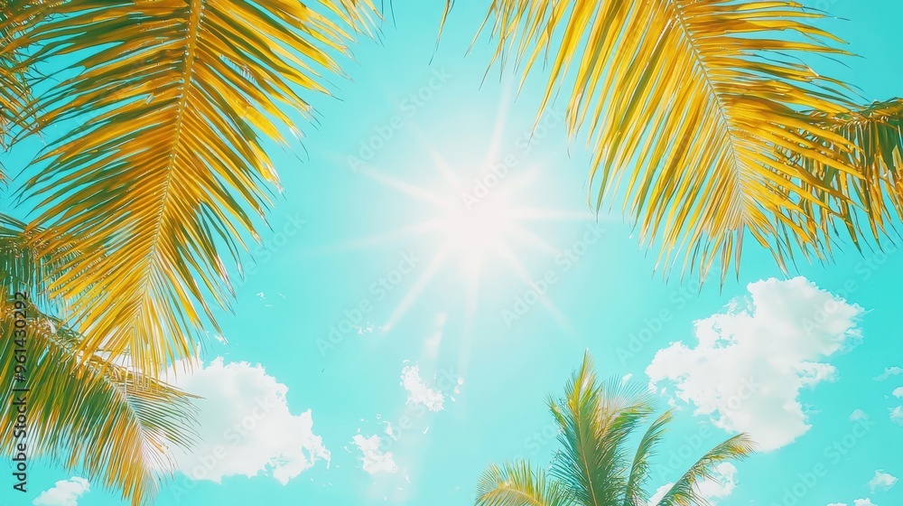 Palm Tree Leaves Against Blue Sky with Sun Rays and White Clouds Palm Tree Leaves Against Blue Sky with Sun Rays and White Clouds