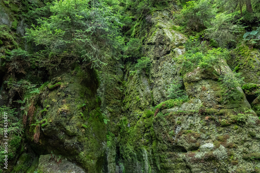 National Park of Adrspach Teplice rocks. Beautiful limestone sandstones rocks in Adrspach, Czech Republic. Adrspach Teplice Rocks mountain range in Central Sudetes part of the Table Mountains.