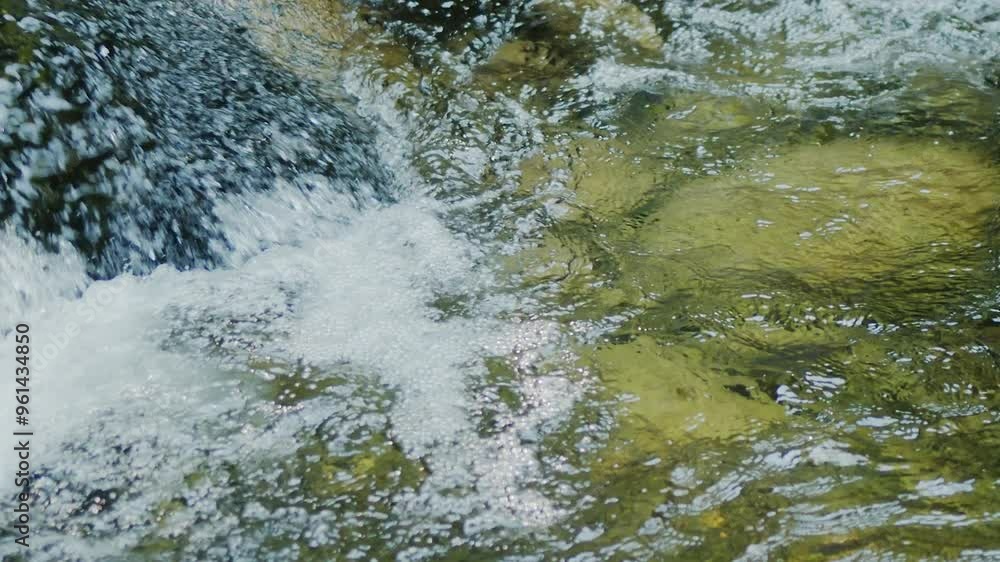Mountain clear stream in the forest, natural landscape on a sunny summer day. Mountain clear stream in the forest, natural landscape on a sunny summer day.