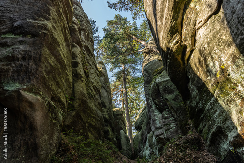 National Park of Adrspach Teplice rocks. Beautiful limestone sandstones rocks in Adrspach, Czech Republic. Adrspach Teplice Rocks mountain range in Central Sudetes part of the Table Mountains.