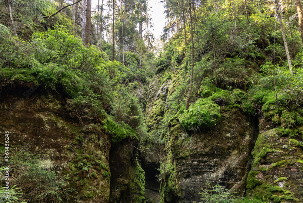 Fototapeta premium National Park of Adrspach Teplice rocks. Beautiful limestone sandstones rocks in Adrspach, Czech Republic. Adrspach Teplice Rocks mountain range in Central Sudetes part of the Table Mountains.