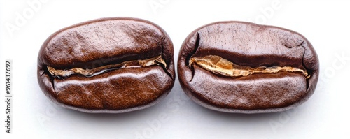 A macro shot of a roasted coffee bean split open, revealing the rich, earthy tones and textures inside