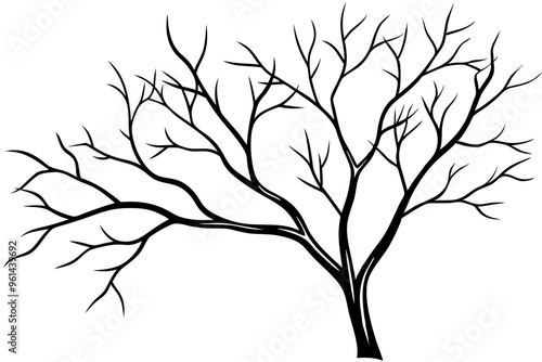 Tree branches silhouette isolated on white background. Vector illustration forest design and element landscape season. Autumn clip art and decoration abstract outdoor