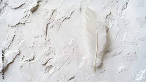 Elegant Feather Symbol in White on White Background for Graphic Design