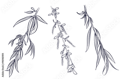 a set of black and white hand drawings of birch branches vector