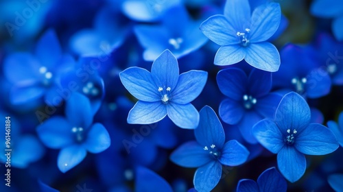 a random pattern of beautiful and bizarre alien small assorted blue flowers from another planet