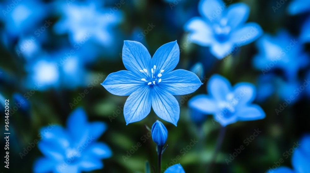 a random pattern of beautiful and bizarre alien small assorted blue flowers from another planet a random pattern of beautiful and bizarre alien small assorted blue flowers from another planet