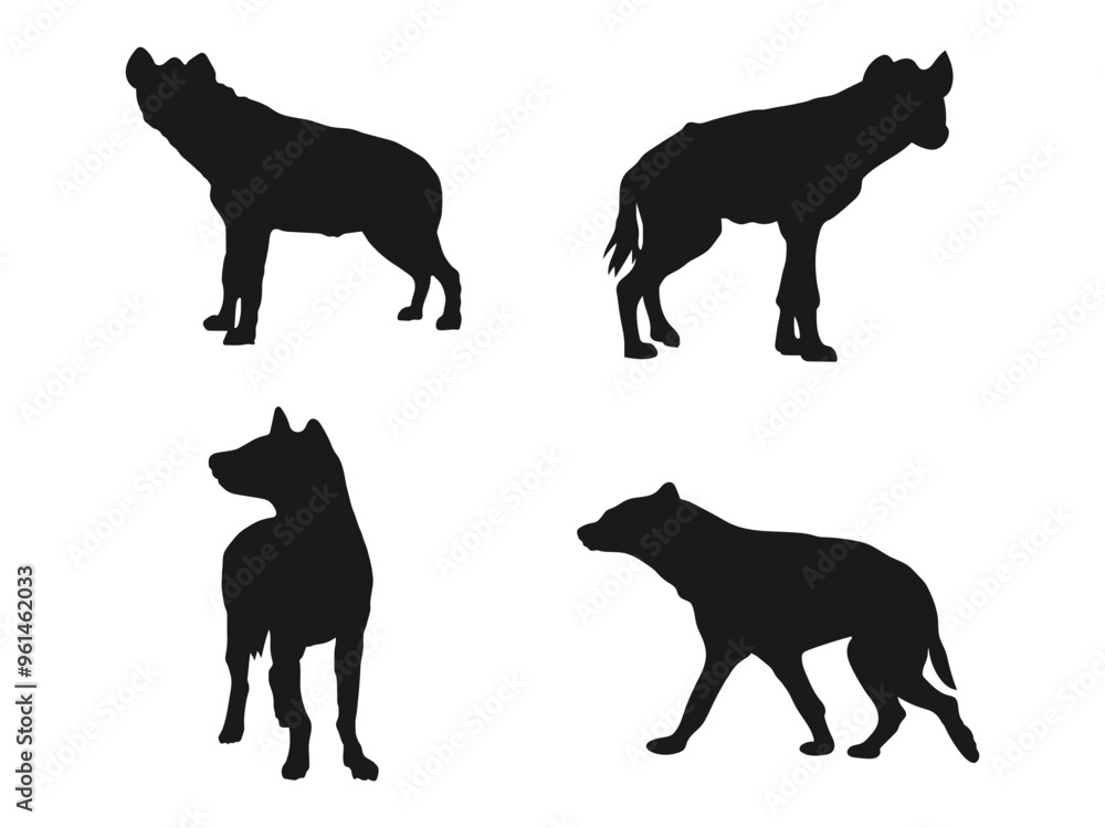 Naklejka premium Side View Silhouette Found In Map Of African, Middle Eastern And Asian. Africa wild animal. Vector illustration of a black silhouette hyena. hyena silhouette, high quality. Isolated white background.