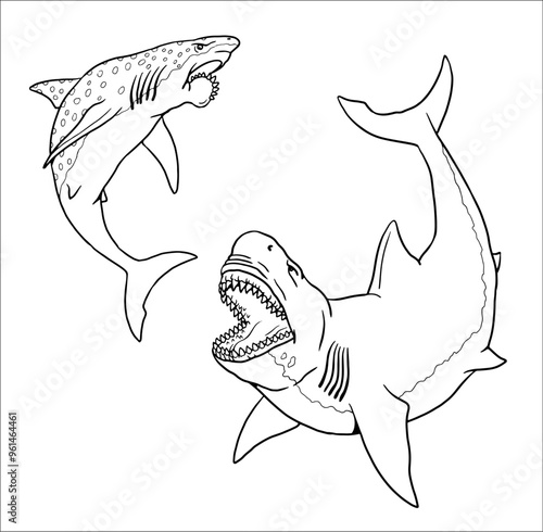 Prehistoric shark Megalodon attacks the Helicoprion. Fight between predatory fishes for coloring. Handmade vector drawing.