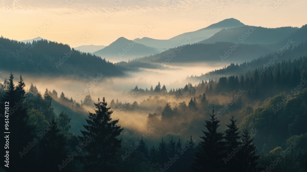 Misty Mountain Sunrise Misty Mountain Sunrise