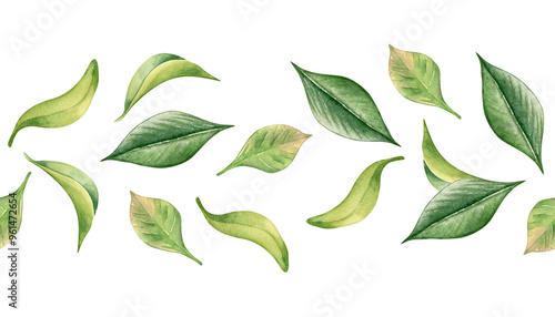 Tea leaves watercolor on seamless banner isolated. Flying green leaf by hand drawn on repeating border. Foliage horizontal pattern for package, textile, organic design. Leafy border in botanical art.