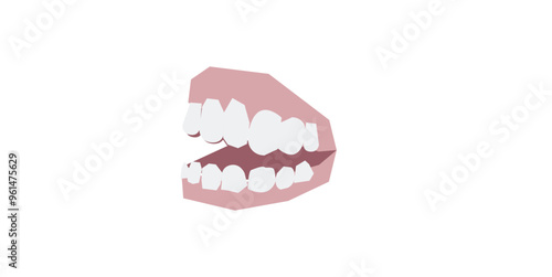 teeth denture funny illustration vector tooth