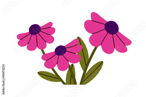 Echinacea, coneflower with purple blooms, delicate petals. Beautiful flowers, herbs, botanical design element. Wildflower, floral herbal decor. Flat vector illustration isolated on white background