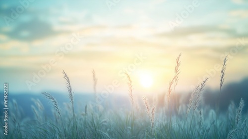 Sunset Grassland Serenity