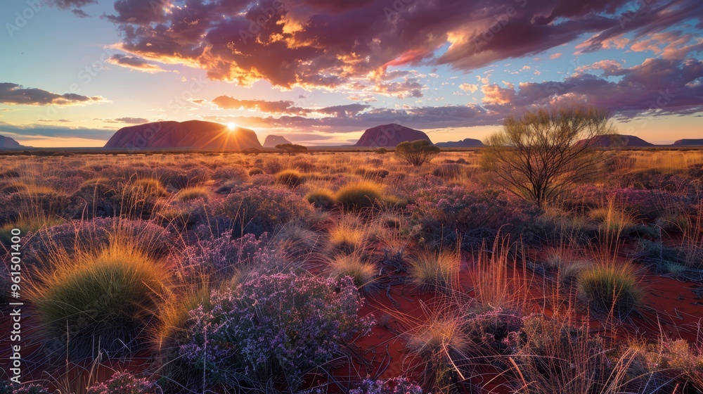 The sun sets in the distance, casting long shadows over a field of wildflowers in the foreground Mountains loom in the background The sun sets in the distance, casting long shadows over a field of wildflowers in the foreground Mountains loom in the background