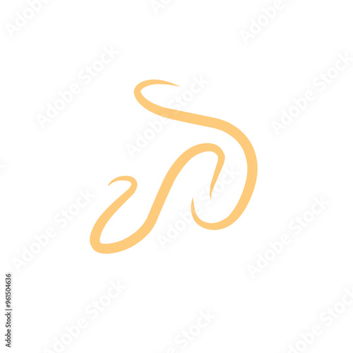 intestinal parasitic worm element vector