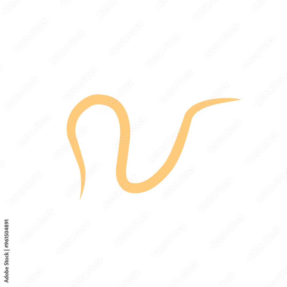intestinal parasitic worm element vector intestinal parasitic worm element vector