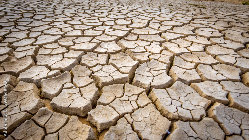 Arid Cracked Earth Texture with Intricate Patterns
A close-up view of dry, parched soil displaying intricate patterns of cracks, symbolizing drought and the effects of climate change on the environmen Arid Cracked Earth Texture with Intricate Patterns
A close-up view of dry, parched soil displaying intricate patterns of cracks, symbolizing drought and the effects of climate change on the environmen