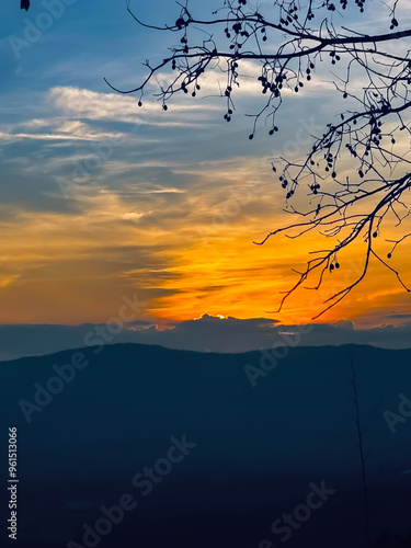 Branches and the Sunset Behind the Hills