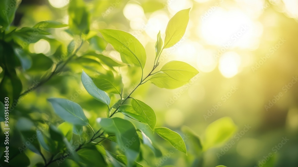 Lush green foliage under springtime sun glow Lush green foliage under springtime sun glow