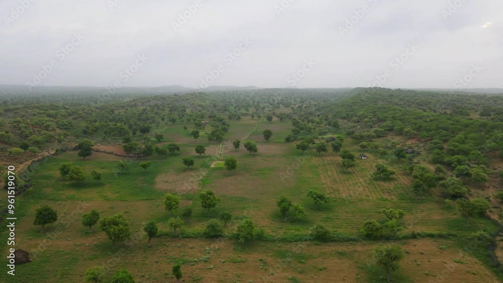 Ariel View of Green Forest through Tharparkar, Pakistan. Nature and Travel concept Ariel View of Green Forest through Tharparkar, Pakistan. Nature and Travel concept