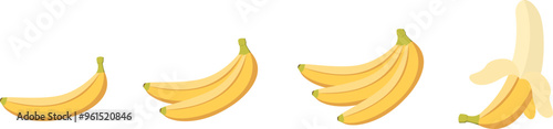 A collection of banana vector illustrations