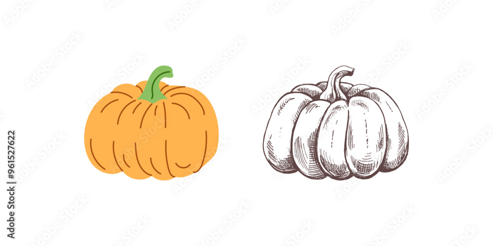 Vector flat and sketch style Halloween Illustration. Hand-drawn pumpkin sketch isolated on white background. Element for labels, packaging and cards design. Vector flat and sketch style Halloween Illustration. Hand-drawn pumpkin sketch isolated on white background. Element for labels, packaging and cards design.