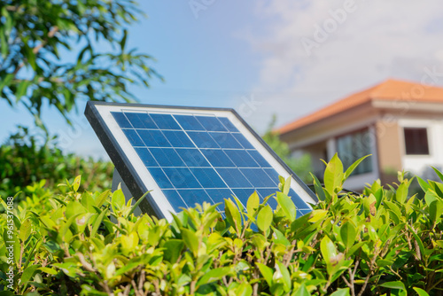 Close-up of a solar panel with green leaves and blue sky in the background, renewable energy focus.