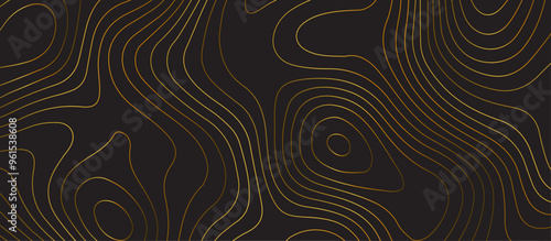 Black topology topography vector abstract design digital background seamless contour map texture territory geography desktop wallpaper and design for print work