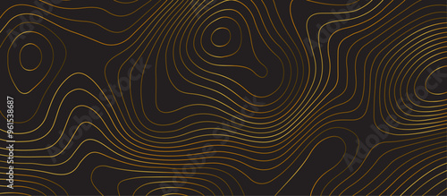 Black topology topography vector abstract design digital background seamless contour map texture territory geography desktop wallpaper and design for print work