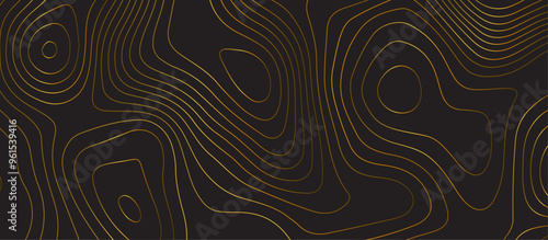 Black topology topography vector abstract design digital background seamless contour map texture territory geography desktop wallpaper and design for print work