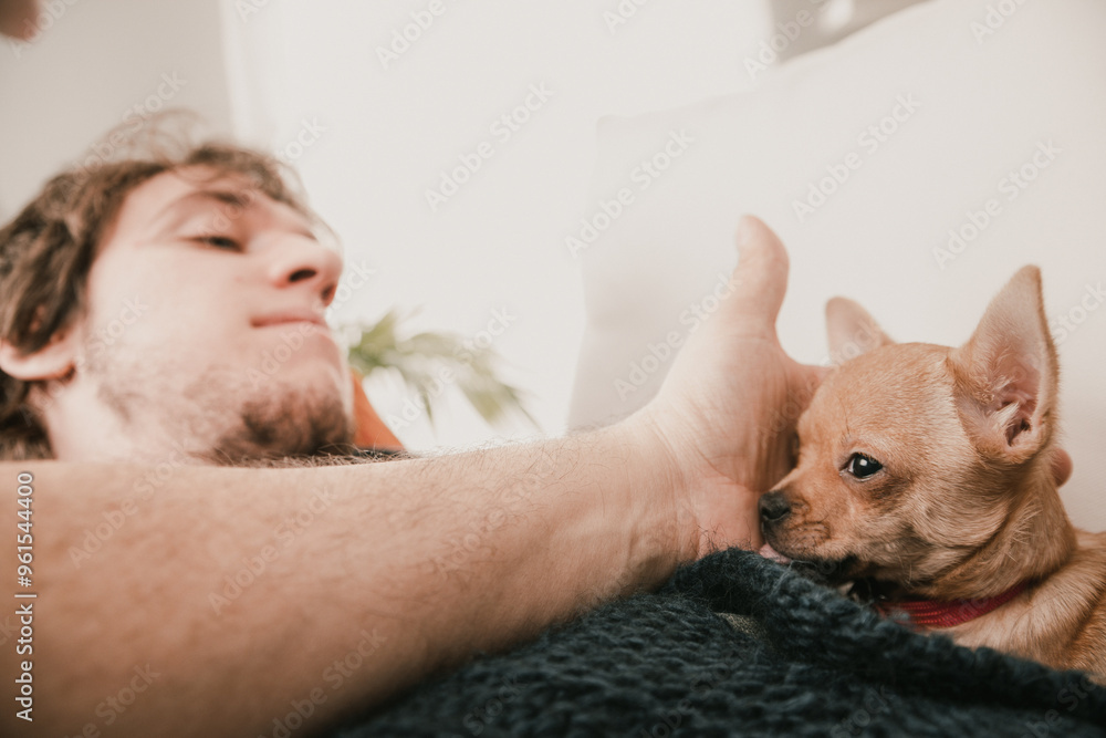 Man relaxing on sofa at home being bothered by playful puppy Man relaxing on sofa at home being bothered by playful puppy