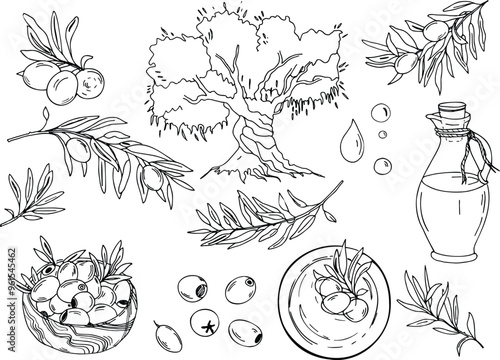 Olive Set, Branches, olive Tree, Glass Jug and Bowl with Oil and berries, Wooden bowl with fruits, Oil Drops. Hand drawn Vector Graphic illustration isolated, Ink drawing.