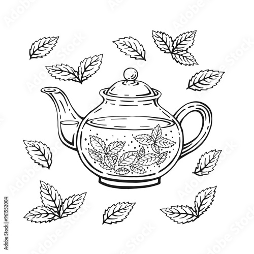 Teapot, mint leaves, tea. Hand drawn vector illustration in outline style.