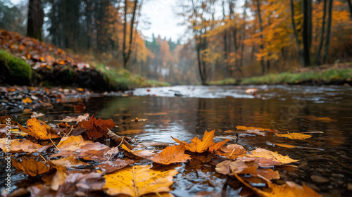 A serene autumn scene featuring golden leaves floating on a still forest stream.