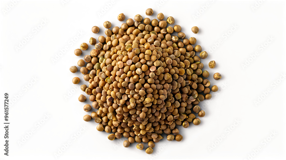 Pile lentils isolated on white, top view Pile lentils isolated on white, top view