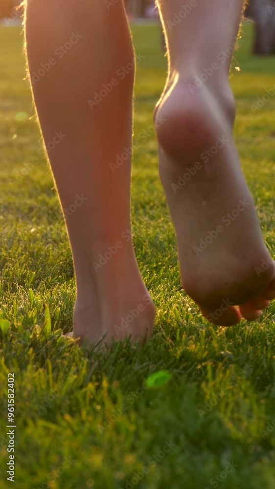 vertical video shorts barefoot child feet walking grass. child feet outdoor sunlight going summer park. family picnic. concept barefoot legs vertical video shorts barefoot child feet walking grass. child feet outdoor sunlight going summer park. family picnic. concept barefoot legs