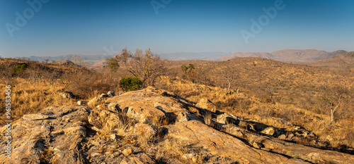 Foto African savannah and bushveld landscapes in Game reserves like Kruger Park and the Serengeti, African bushveld and wilderness
