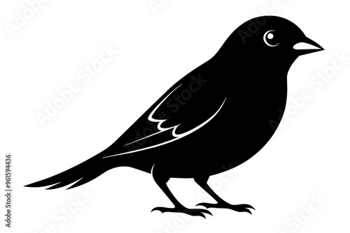 Canary bird silhouette black color vector art illustration photo