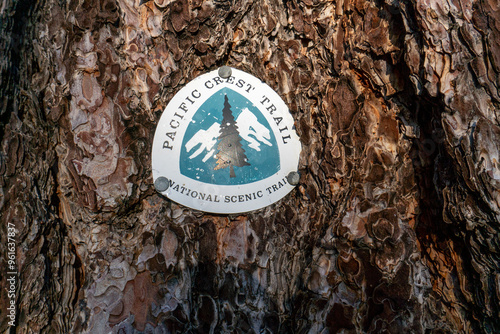 A tree trunk with a Pacific Crest Trail sign on it