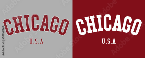 Retro college varsity font typography, Varsity vintage vector graphic, Chicago USA slogan print for fashion tee and t-shirt, sweatshirt, and hoodie. 