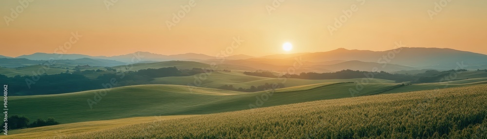 Fototapeta premium Sunset over rolling hills with golden fields, casting a warm, serene glow, perfect for nature, landscape, and tranquility themes.