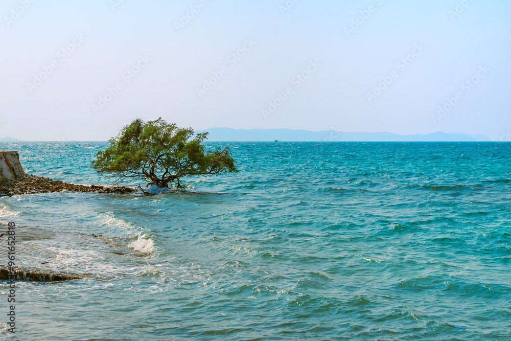 Sea coast with blue water and tree on the shore. Seascape Sea coast with blue water and tree on the shore. Seascape