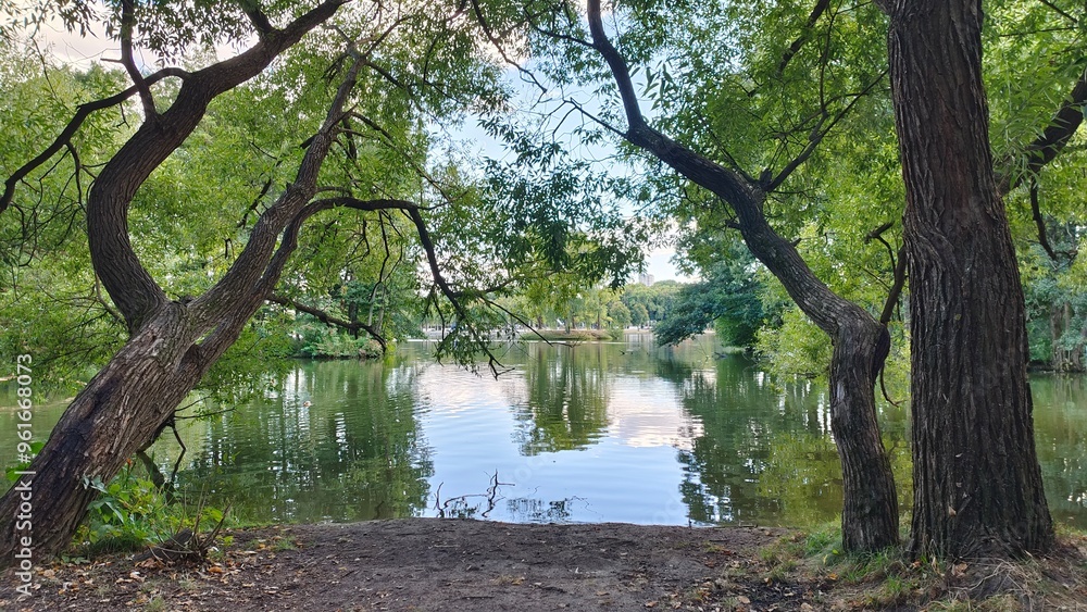 Willows and various deciduous trees grow on the shores of the lake. Their branches overhang the water. On the far shore are city buildings. Sky with clouds and trees are reflected in the water. Autumn Willows and various deciduous trees grow on the shores of the lake. Their branches overhang the water. On the far shore are city buildings. Sky with clouds and trees are reflected in the water. Autumn